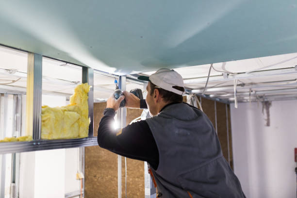 Best Attic Insulation Installation  in Ucon, ID