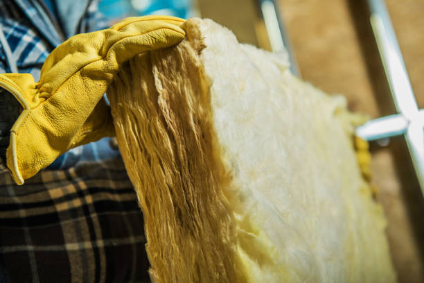 Best Insulation Inspection Services  in Ucon, ID