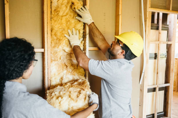  Ucon, ID Insulation Contractor Pros