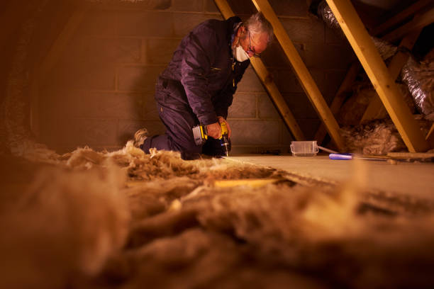 Best Garage Insulation Installation  in Ucon, ID