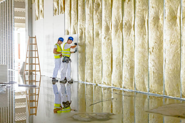 Best Attic Insulation Near Me  in Ucon, ID